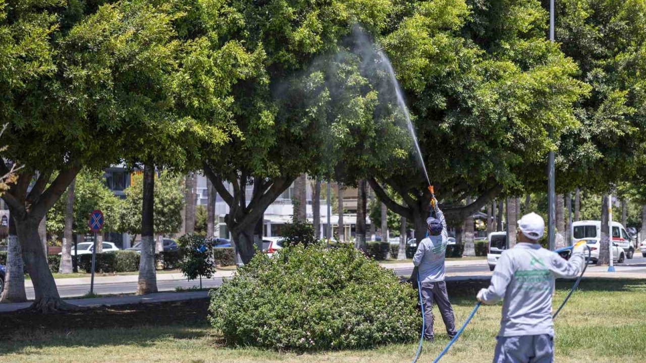 Mersin’de yaz boyunca kesintisiz ilaçlama