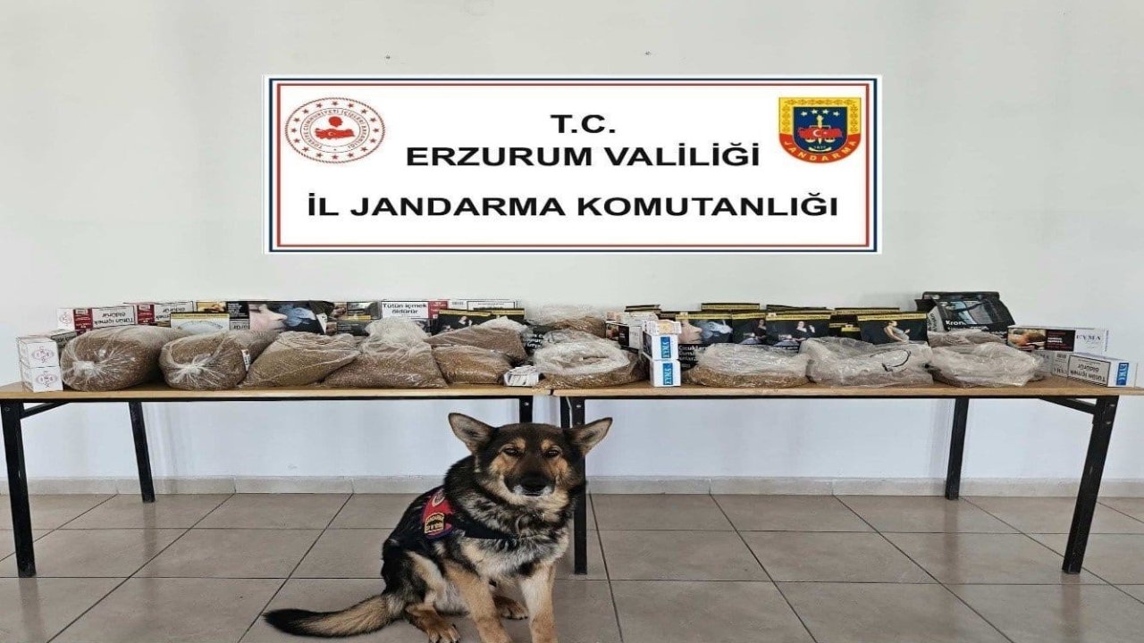 Jandarmadan kaçakçılara operasyon
