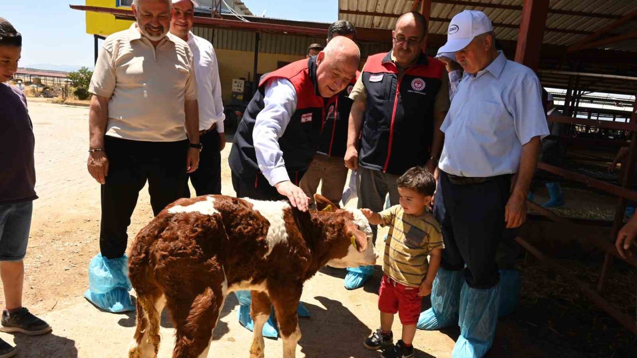 Denizli’de 511 bin ton inek sütü üretiliyor