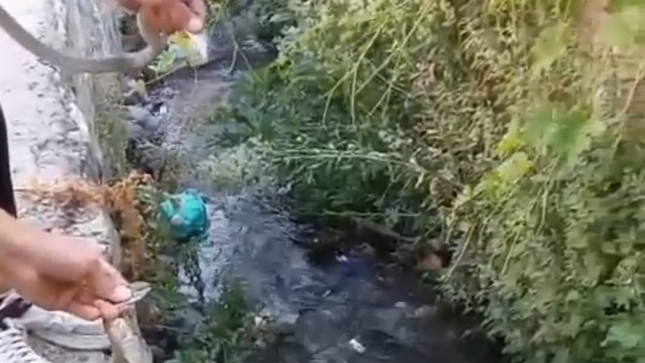 Hakkari’de toprak evin tavanına yuva yapan yılanlar doğaya salındı