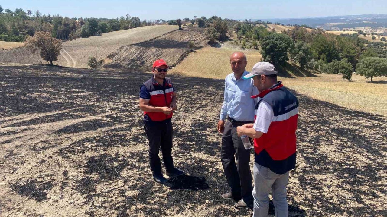 Gediz’de yangından etkilenen alanlar tespit edildi