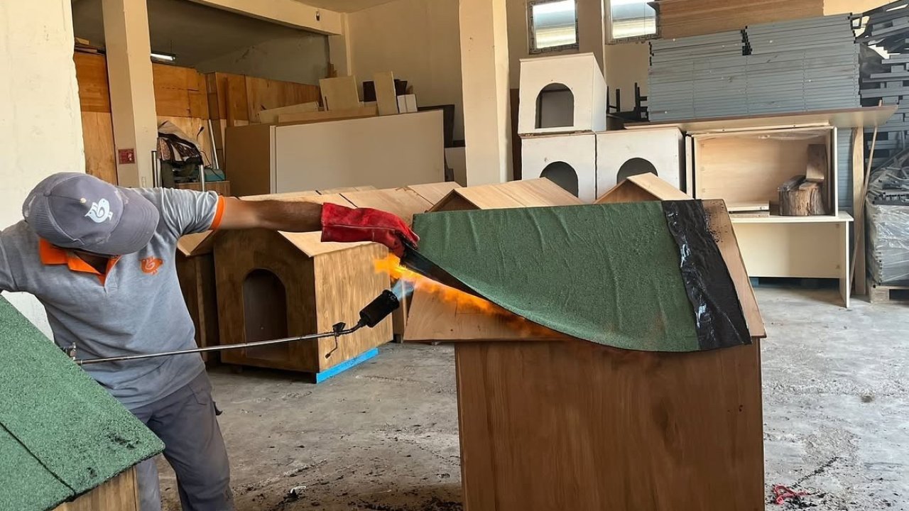 Bandırma Belediyesi’nden sokak hayvanlarına doğal yaşam alanı