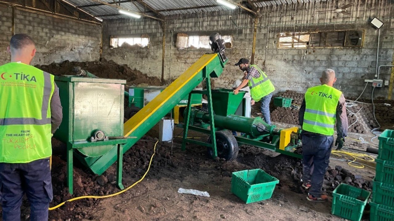 Filistin’de zeytin atıkları, pelet yakıta dönüşüyor