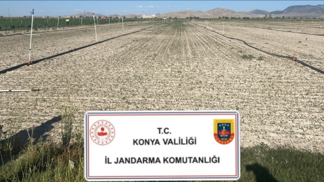 Konya’da jandarmadan uyuşturucu operasyonları