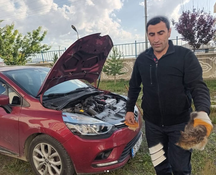 Araç İçine Sıkışan Kedi, İtfaiye Ekipleri Tarafından Kurtarıldı