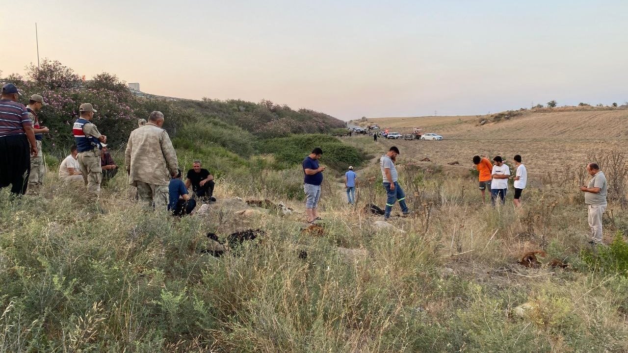 Fabrika atıklarının bırakıldığı iddia edilen dereden su içen 64 küçükbaş hayvan telef oldu