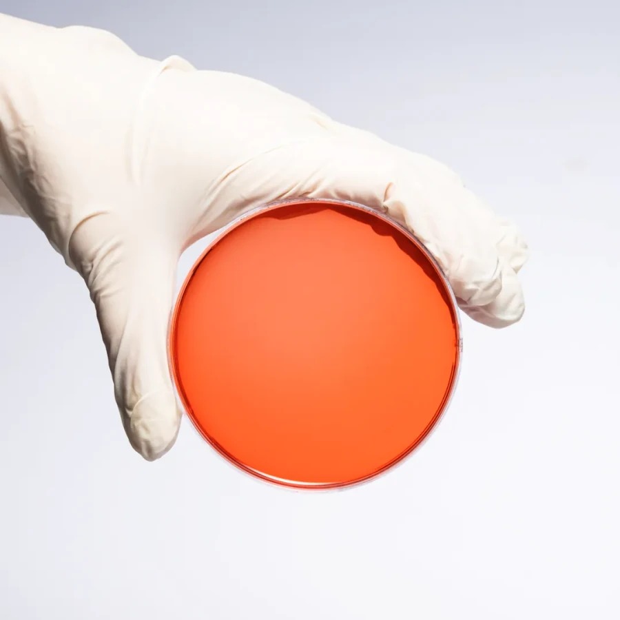 Medexia ile Yüksek Kaliteli Besiyeri Çözümleri