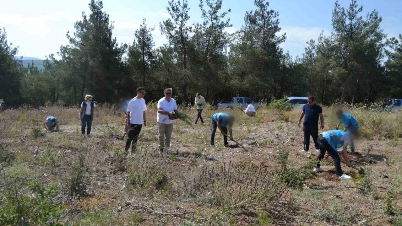 Hükümlüler, 15 Temmuz Şehitleri anısına fidanları toprakla buluşturdu