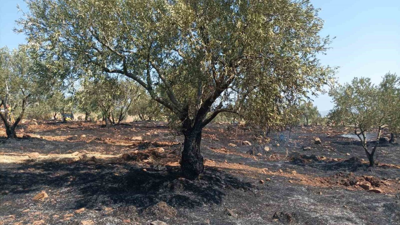 Karacasu’da tarım arazisi yandı, Başkan Büyükyapıcı uyardı