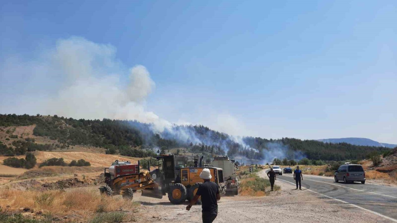 Bilecik’te yeni orman yangını