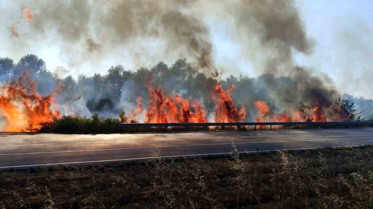 Sakarya’da otluk alanda korkutan yangın
