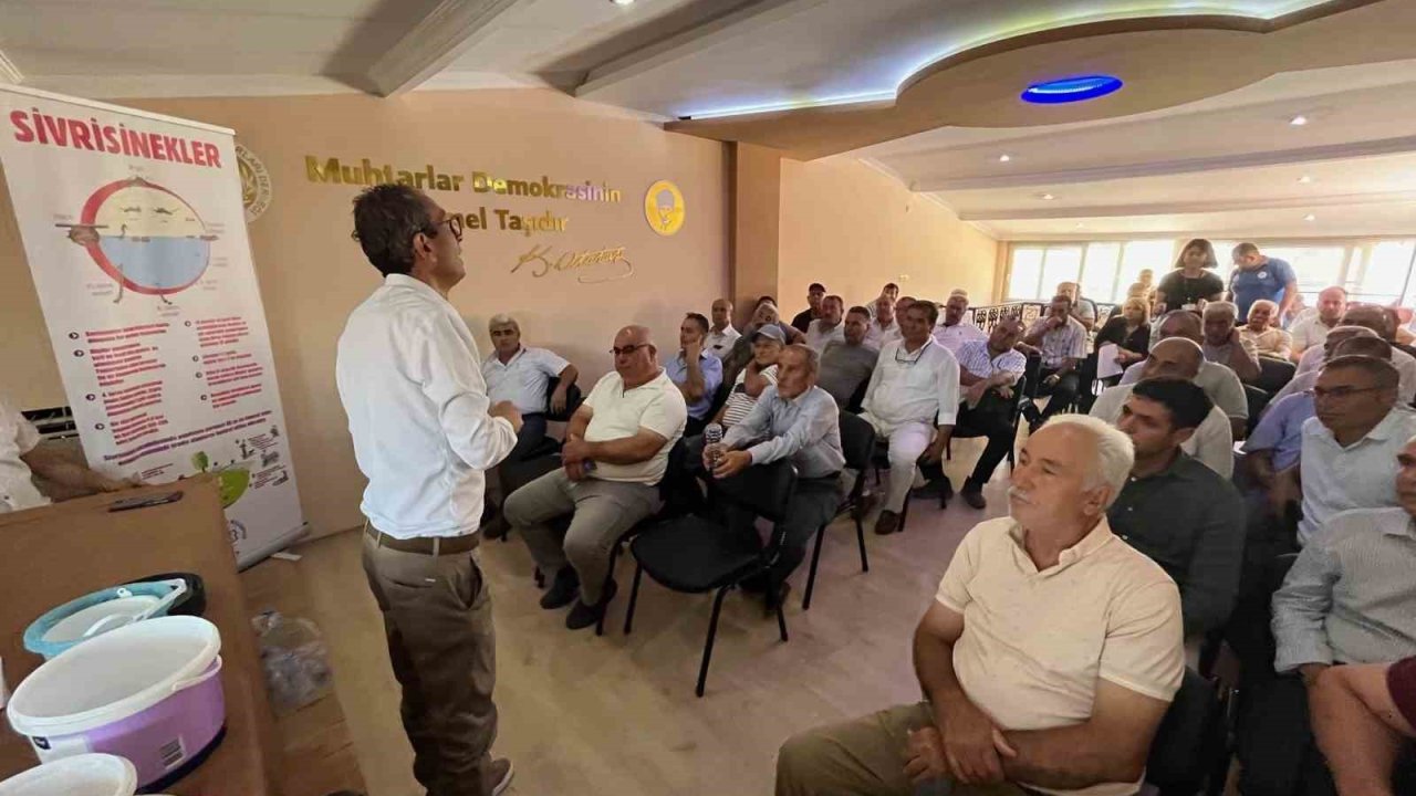 Muğla Büyükşehir’den halk sağlığı için yaz seferberliği