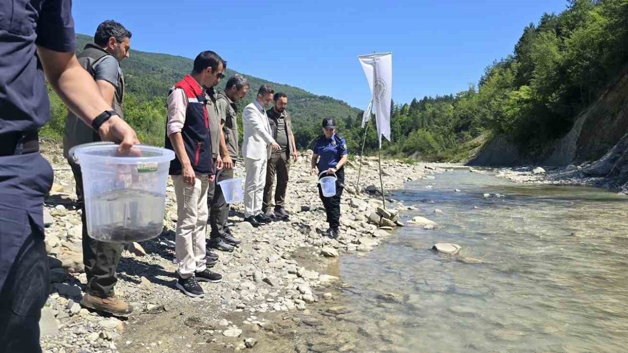 Sinop’ta derelere kırmızı benekli alabalık takviyesi