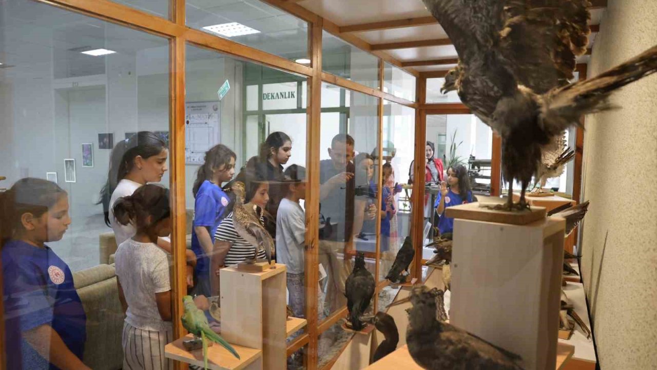 Botanik bahçesi öğrencilerin ilgisini çekti