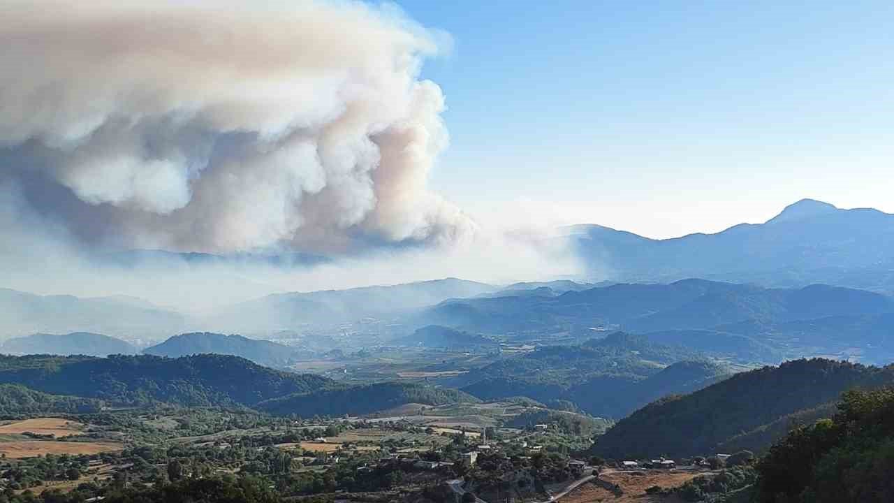 Suriye’de devam eden orman yangını Türkiye sınırına ulaştı