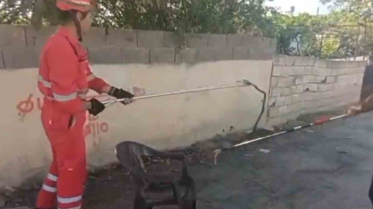 Evin bahçesine giren yılanı itfaiye yakaladı