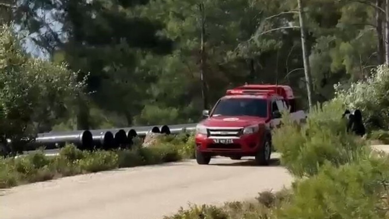 Muğla’da kurumlar yaz aylarında doğayı korumak için teyakkuzda