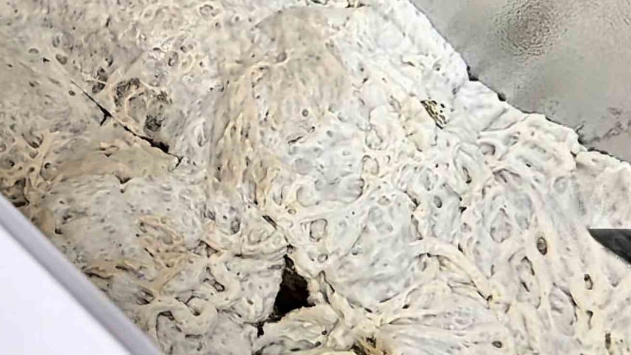 İşkembe görünümlü zula ekipleri şaşırttı