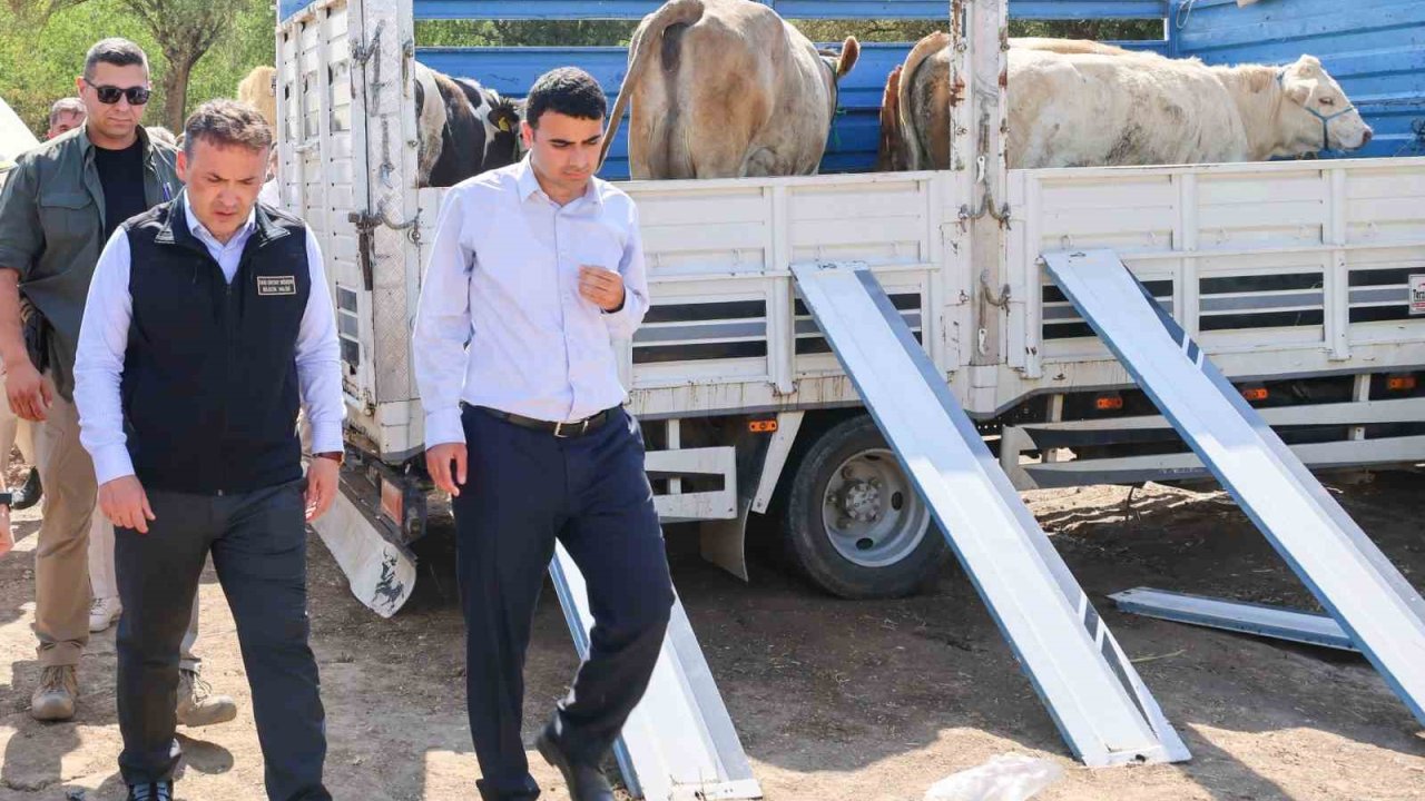 Yangın sonrası üreticilere büyükbaş ve küçükbaş hayvan desteği sağlandı