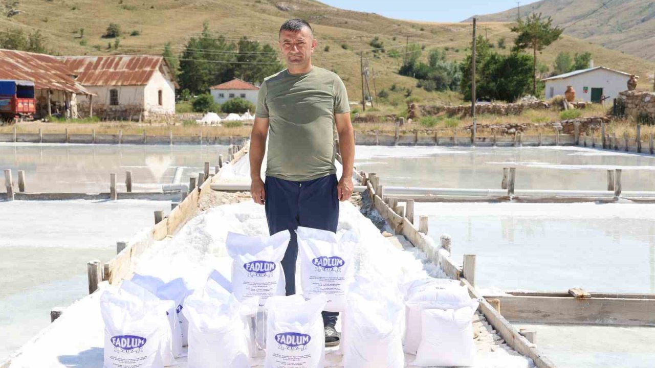 Beyaz altın hasadı başladı