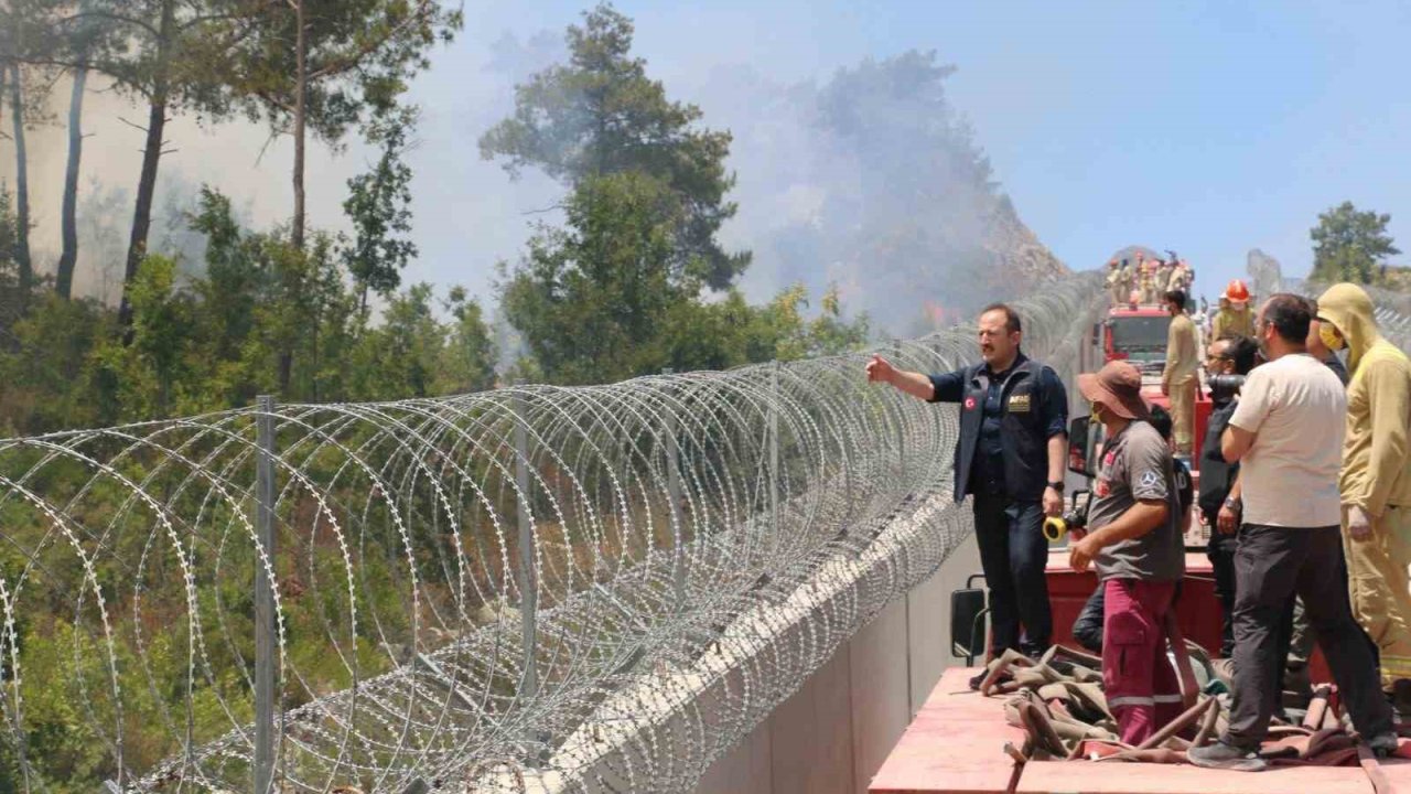 AFAD: "(Hatay Yayladağı) Yangınlara; 734 personel, 7 uçak, 14 helikopter, 215 araç ile müdahale edilmektedir"