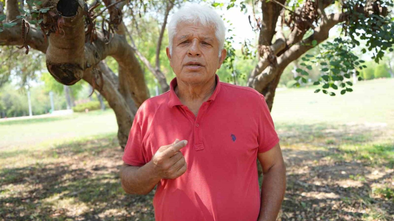 Profesörden denizlerin akciğerleri ’deniz çayırı’ uyarısı