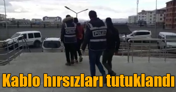 Kars’ta kablo hırsızları tutuklandı