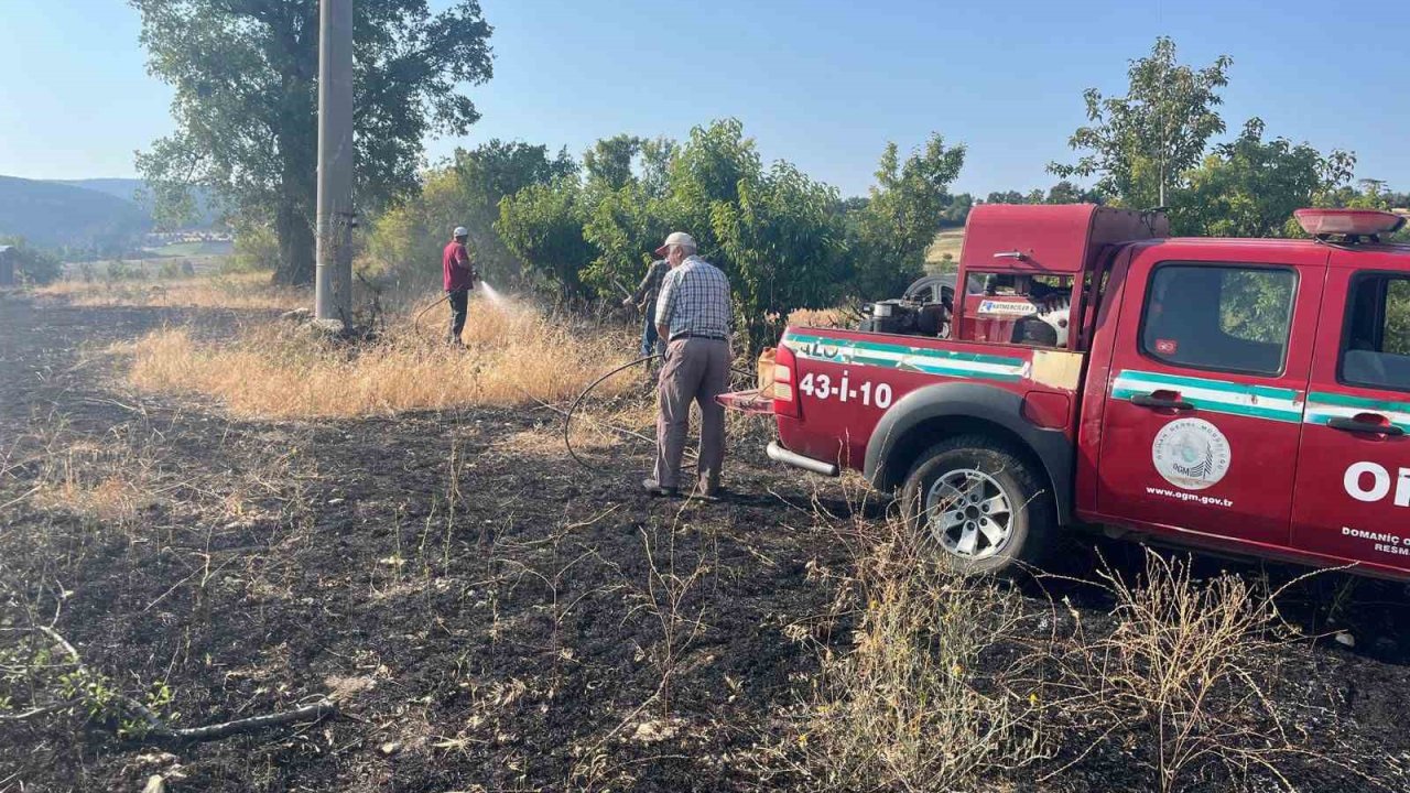 Elektrik akımına kapılan kuş yangına neden oldu