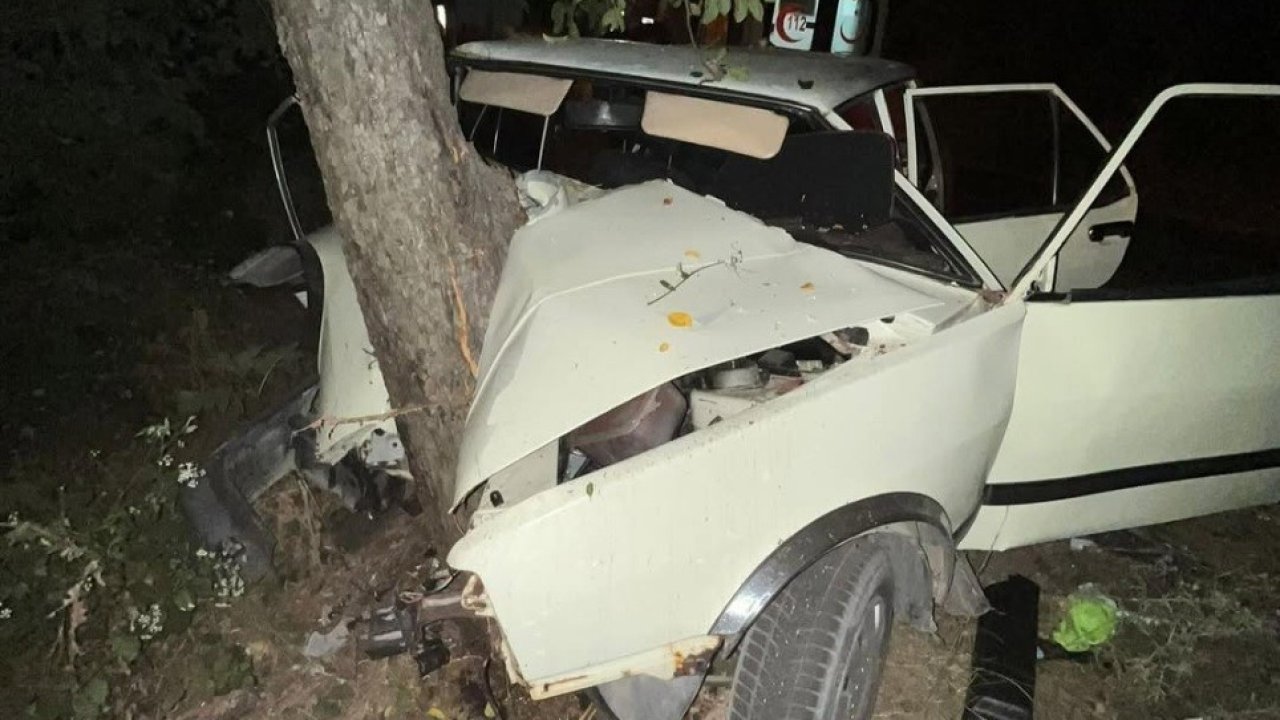 Sinop’ta virajı alamayan otomobil ağaca çarptı: 2 yaralı