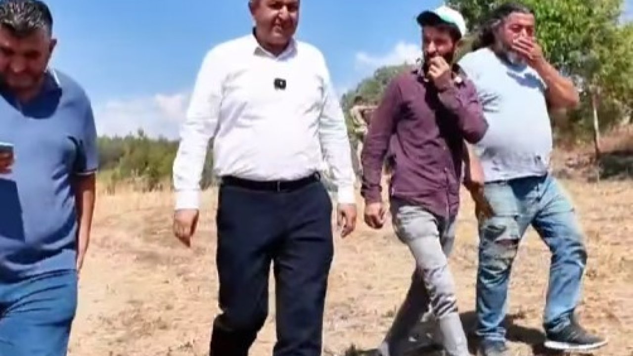 Gediz’de hasat coşkusu başladı, Başkan Akel çiftçilerin yanında