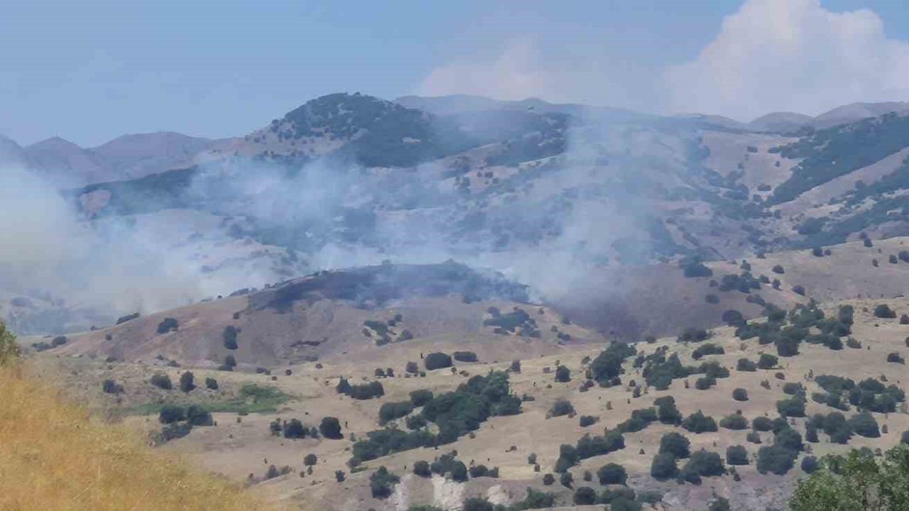 Bingöl’de orman yangını kontrol altına alındı