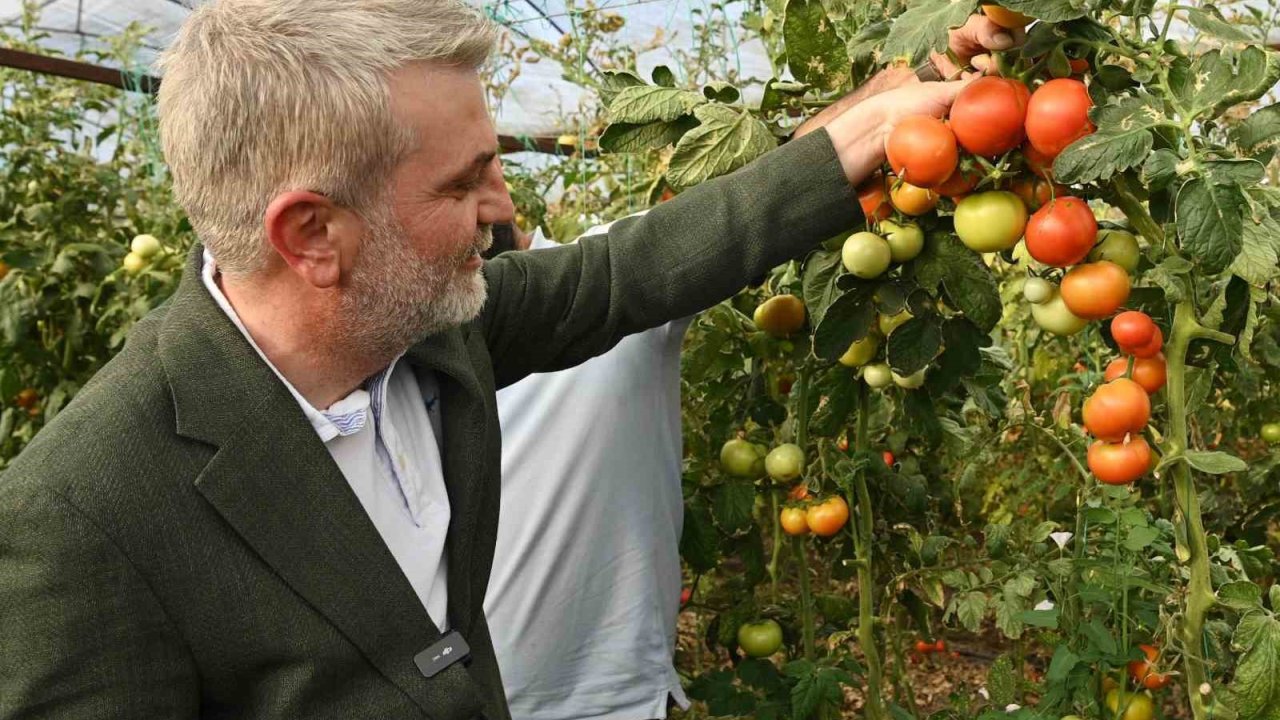 Kahramanmaraş’ta topraktan sofraya bereket zincirine destek