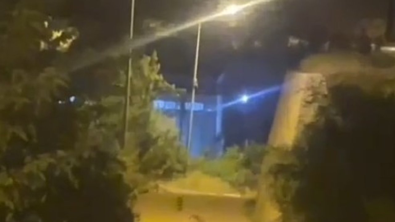 Gümüşhane’de ayı şehir merkezinde görüntülendi