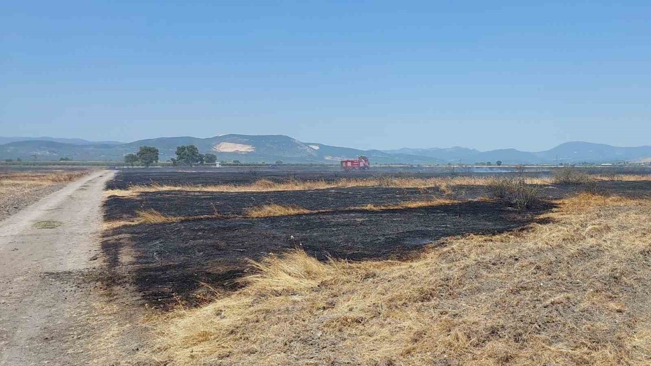 Merada çıkan yangında 200 dekar alan etkilendi