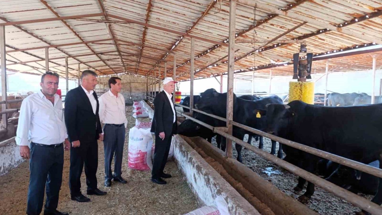 TZOB Başkanı Bayraktar: "Bu yıl görülen şap virüsü daha ölümcül ve tehlikeli boyutta seyrediyor"