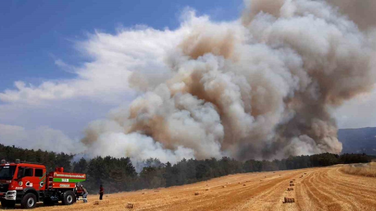 Bolu’da anız yangını ormana sıçradı