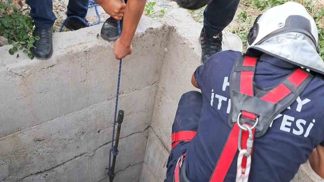Antakya’da 10 metrelik kuyuya düşen köpeği itfaiye kurtardı