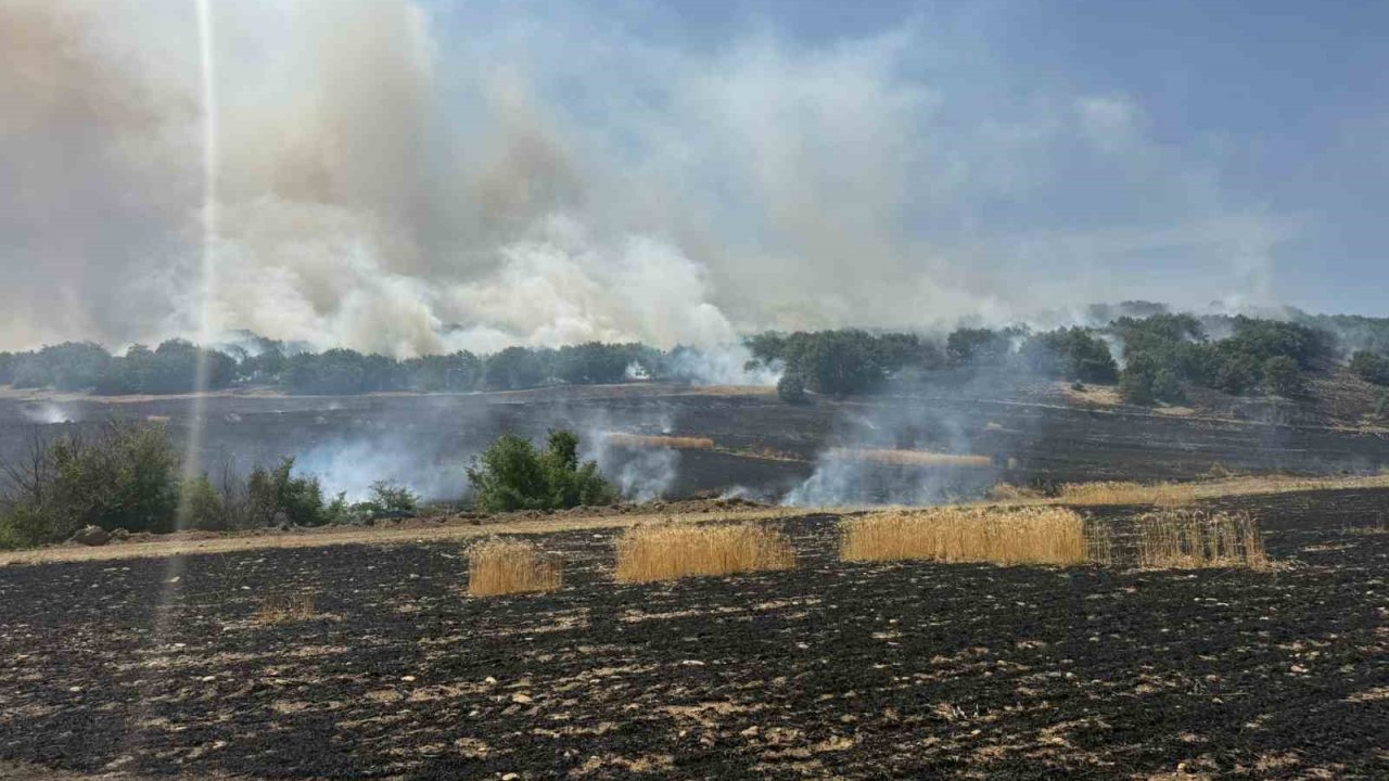 Çorum’da tarlada çıkan yangın ormanlık alana ulaşmadan kontrol altına alındı