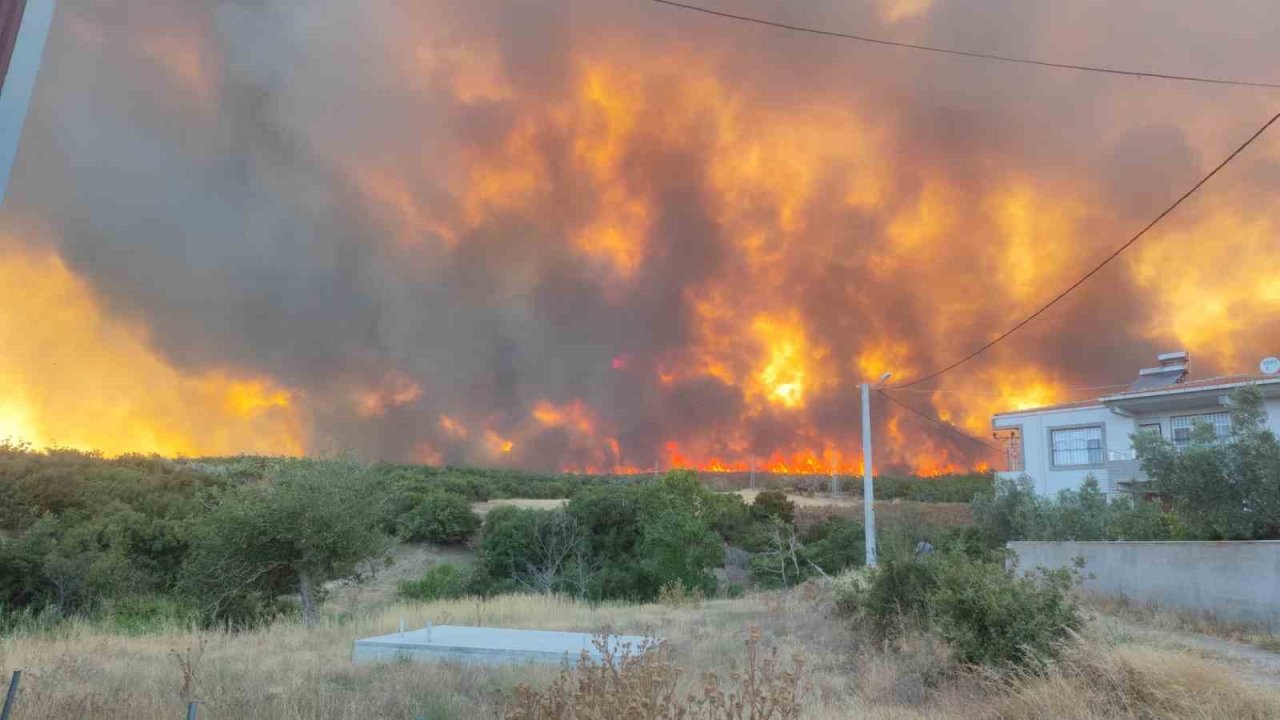 Tekirdağ’daki orman yangını yerleşim alanlarını tehdit ediyor