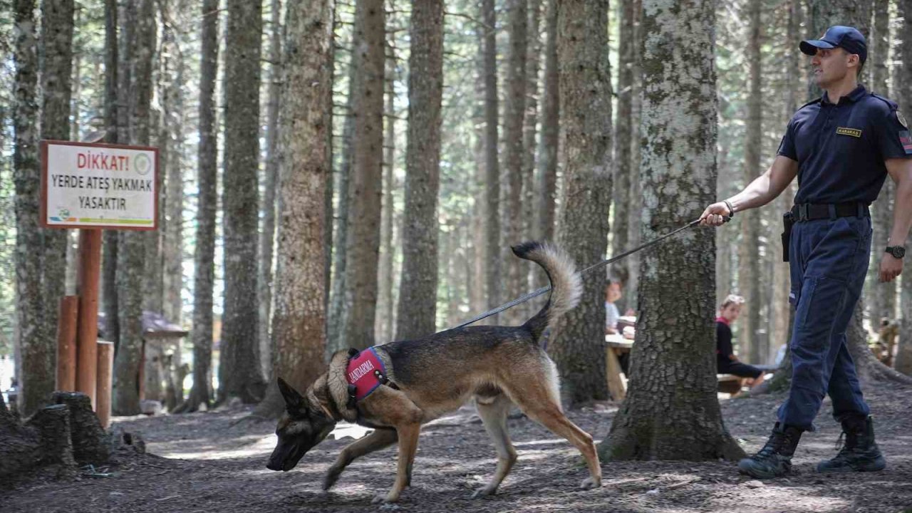 Uludağ’ın ormanlarında jandarmadan 24 saat motorize devriye