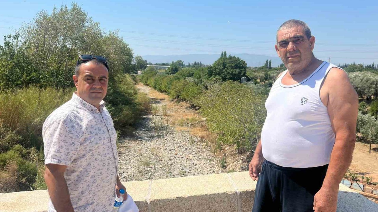 İkizdere Barajı’ndan su bırakılmadı, ağaçlar kurudu