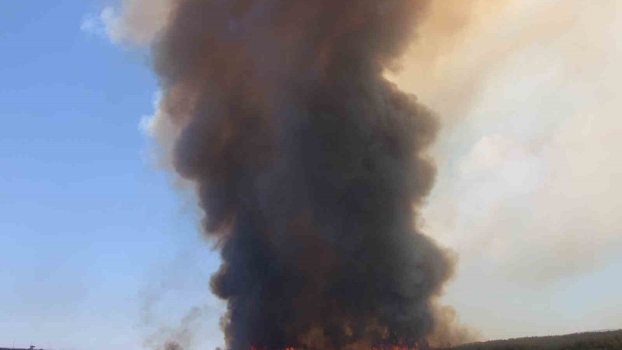 Tekirdağ’da başlayarak Çanakkale’ye ulaşan yangın yeniden alevlendi