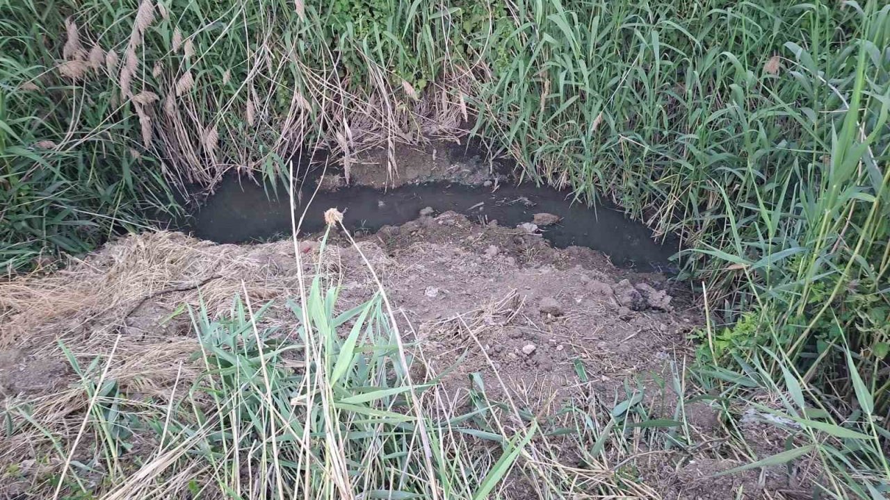 Dereye akan lağım suyu, mahalleliyi nefes alamaz hale getirdi