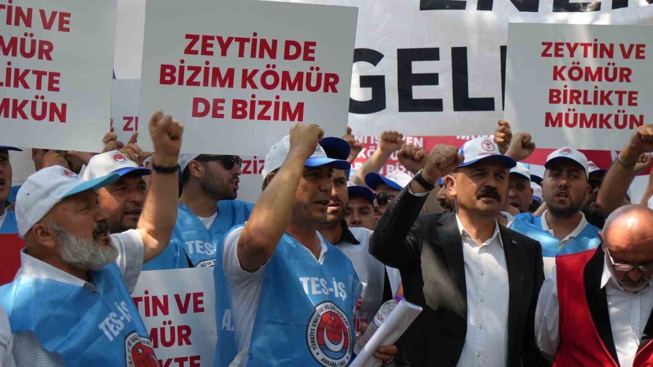 Milaslı muhtarlar ve TES-İŞ’ten Maden Yasası’na destek: "Köylerimiz ve zeytinlerimiz yok olmayacak"