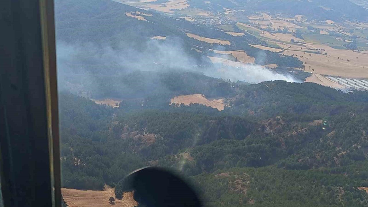 Bolu’da orman yangını