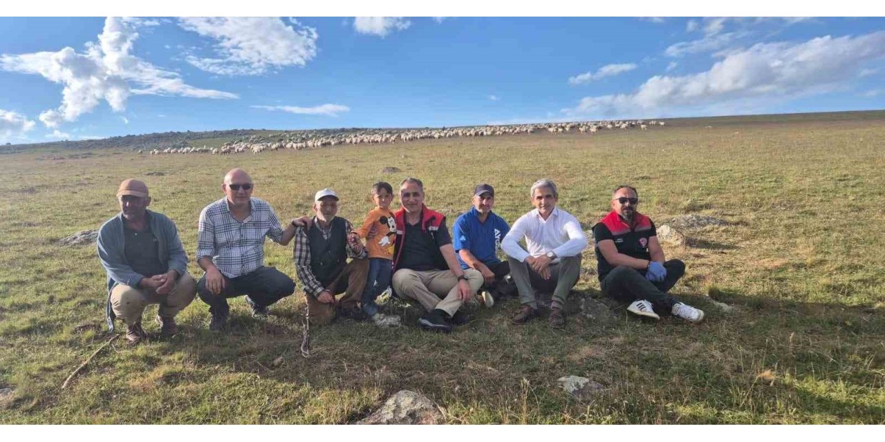 Kars'ta 2 bin 600 rakımlı yaylalarda inceleme