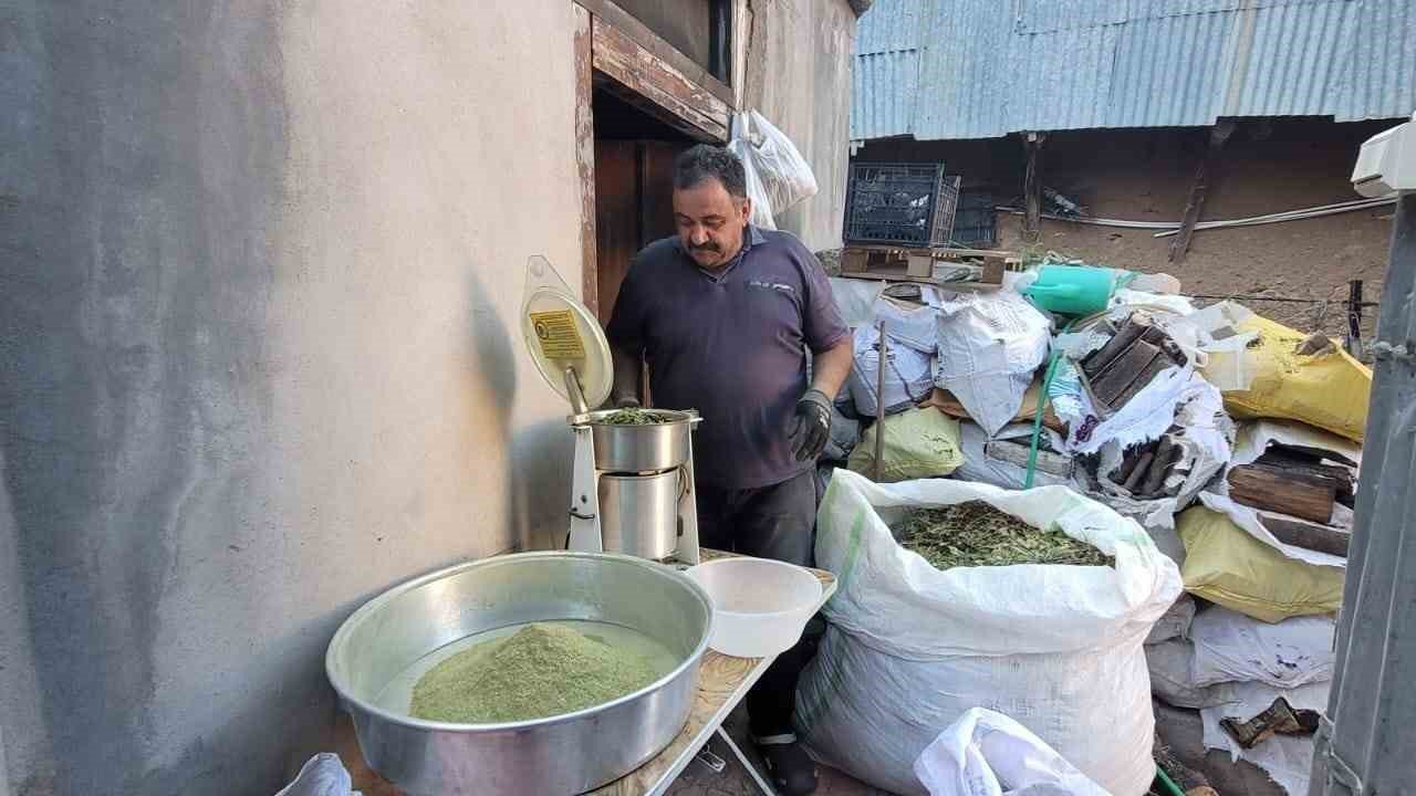 120 çeşit bitkinin karışımıyla elde edilen baharat; Zetrin