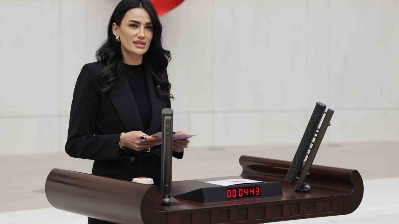 AK Parti Aydın Milletvekili Sarıbaş; Başarıyı gölgeleyemezsiniz, kronik önyargılarınızdan kurtulun