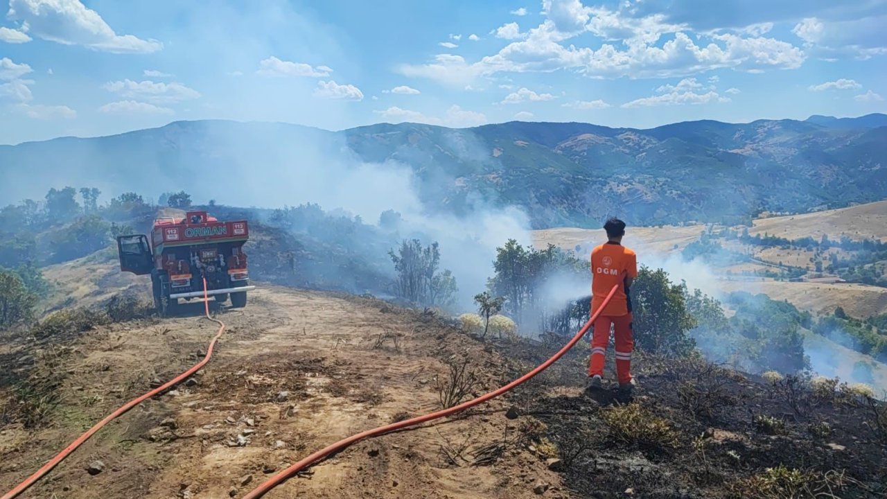Bingöl Valiliği orman yangınlarına karşı uyardı