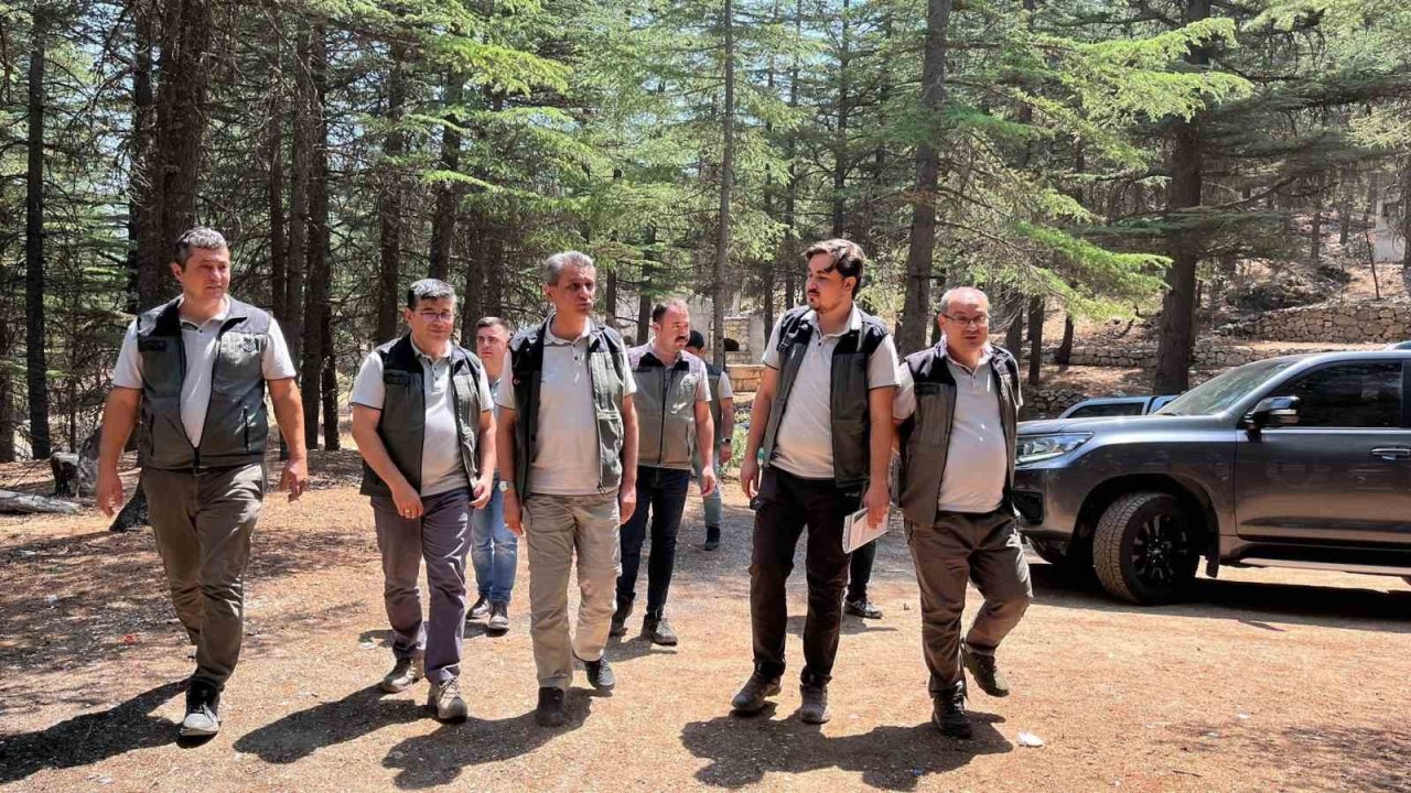 Mersin Orman Bölge Müdürü Gülnar’daki sahalarda incelemelerde bulundu